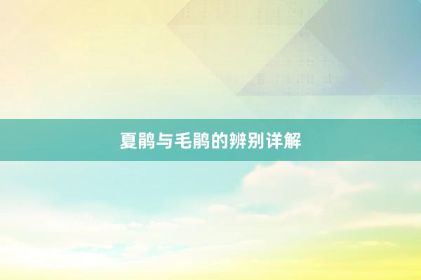 夏鹃与毛鹃的辨别详解