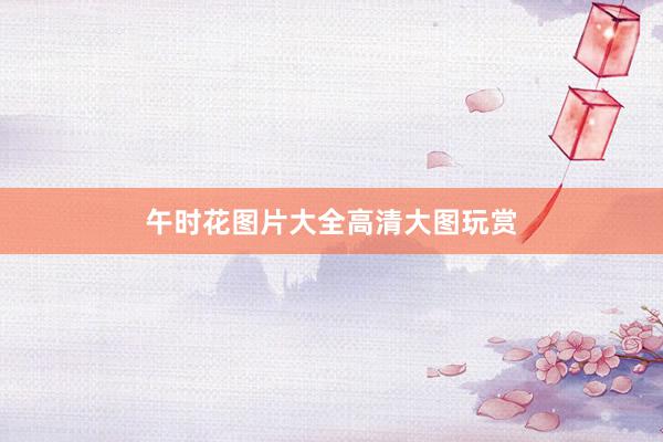 午时花图片大全高清大图玩赏