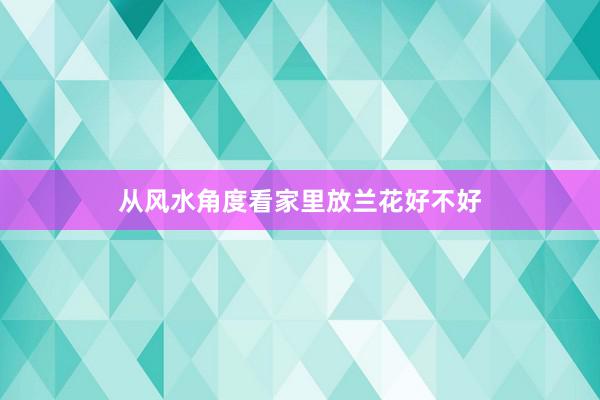从风水角度看家里放兰花好不好