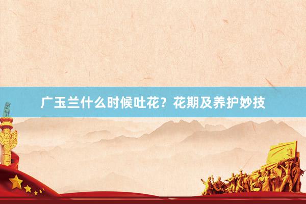 广玉兰什么时候吐花？花期及养护妙技